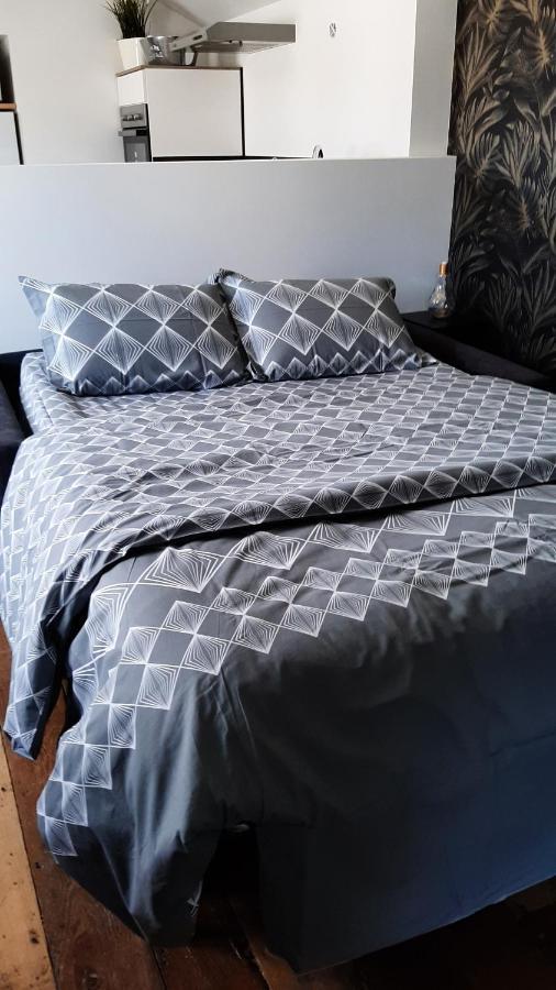 Studio Chaleureux En Hyper Centre Charleville-Mézières 外观 照片